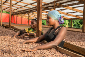 Women Cocoa Farmers