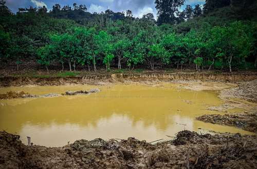 illegal mining
