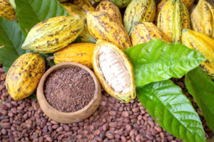 Cocoa Pensions